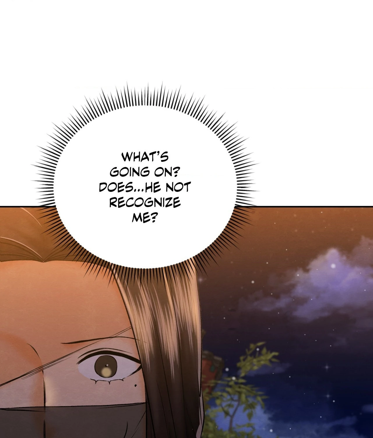 Becoming the King’s Concubine - Chapter 19 manhwa
