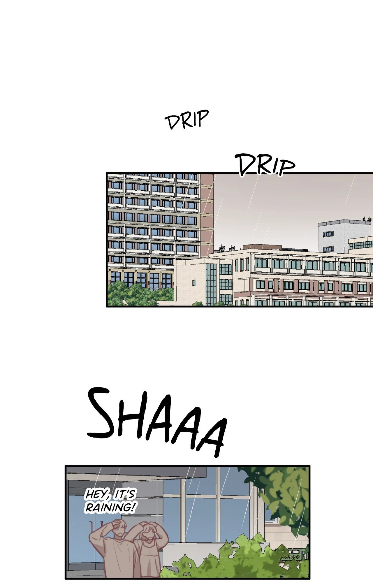 Sandwich Paradox [Official] - Season 2 manhwa