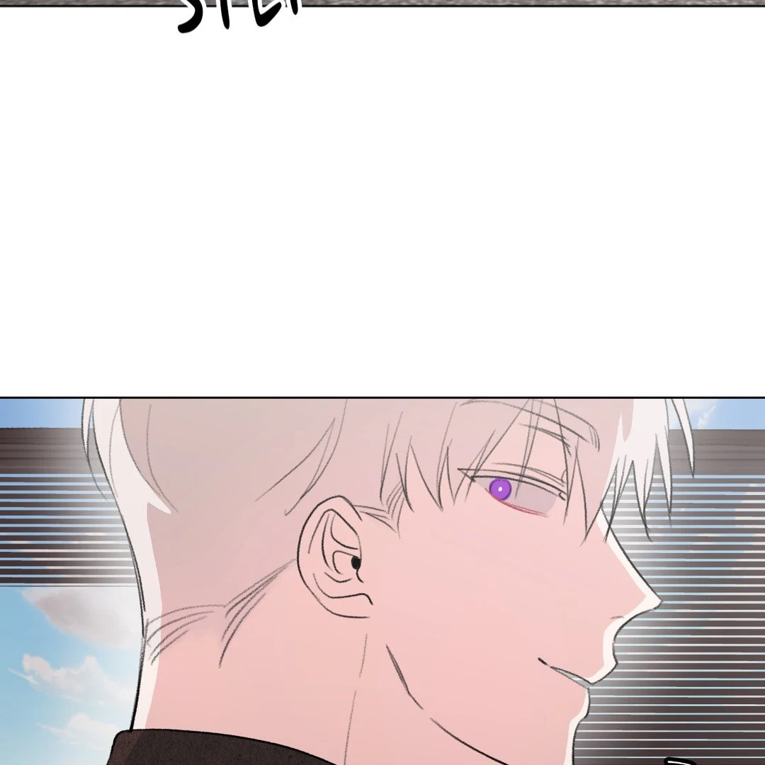 Sew in Love - Chapter 11 manhwa