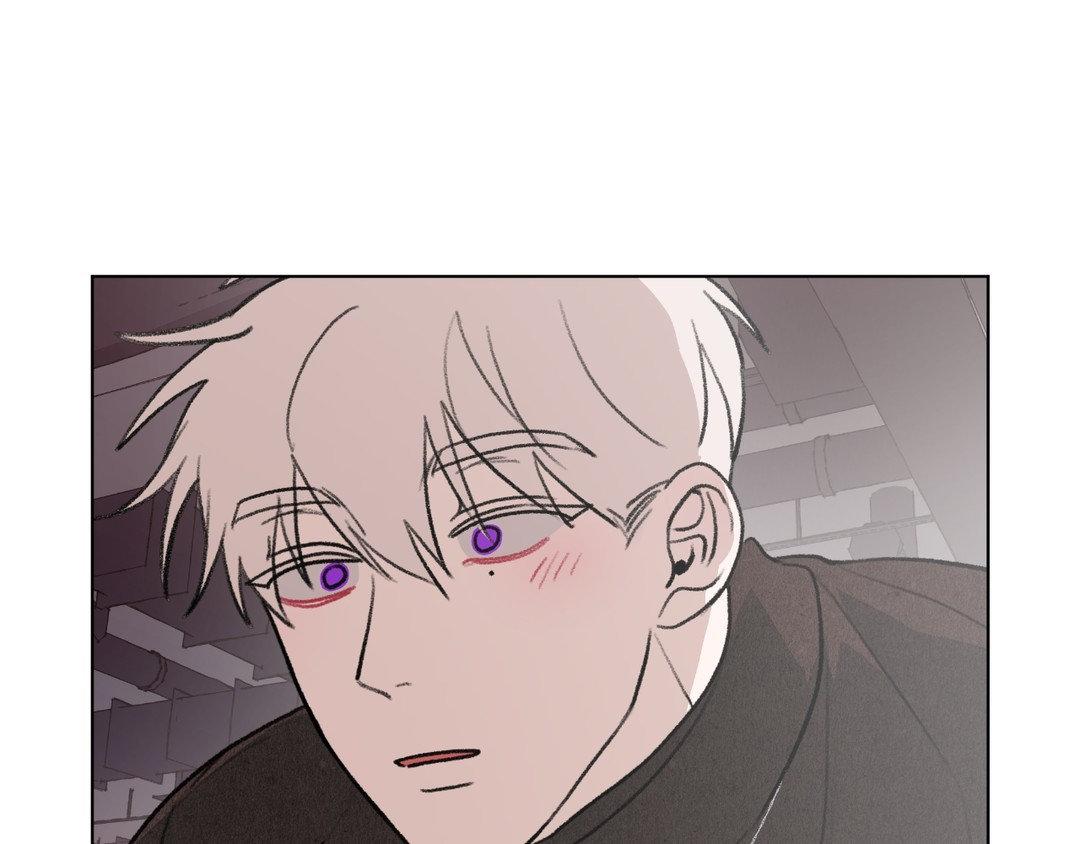 Sew in Love - Chapter 12 manhwa
