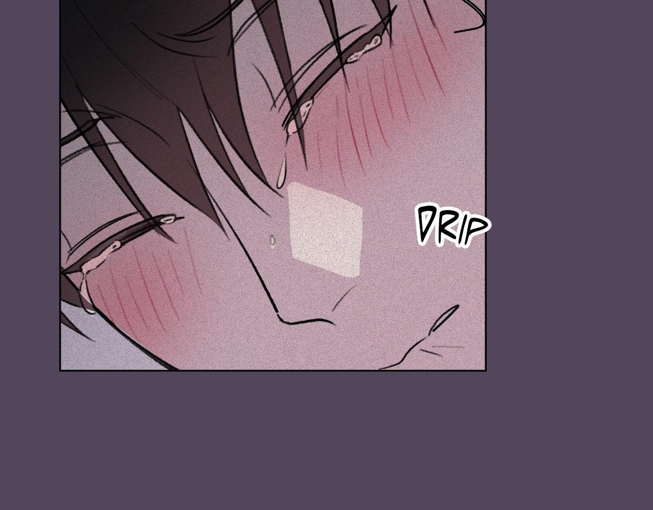Sew in Love - Chapter 18 manhwa