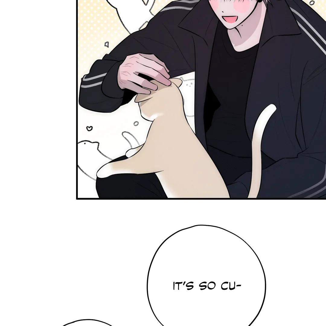 Counter Crush [Cupid Scans] - Chapter 5 manhwa