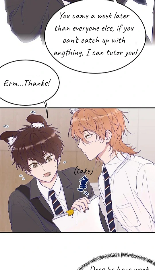 The puppy who lies will gets eaten - Chapter 1 manhwa