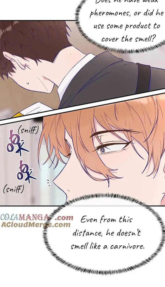 The puppy who lies will gets eaten - Chapter 1 manhwa