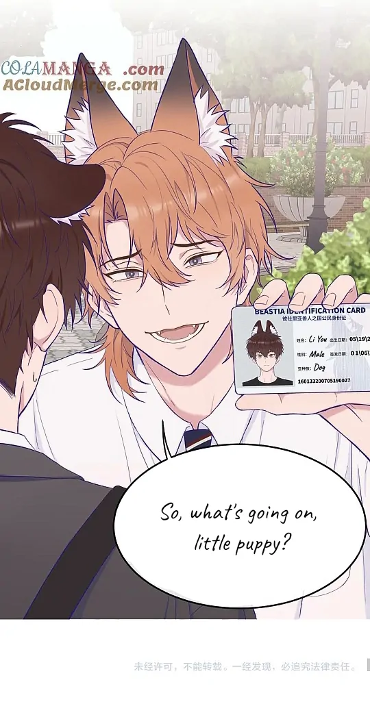 The puppy who lies will gets eaten - Chapter 1 manhwa