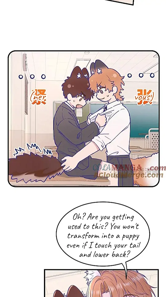 The puppy who lies will gets eaten - Chapter 11 manhwa