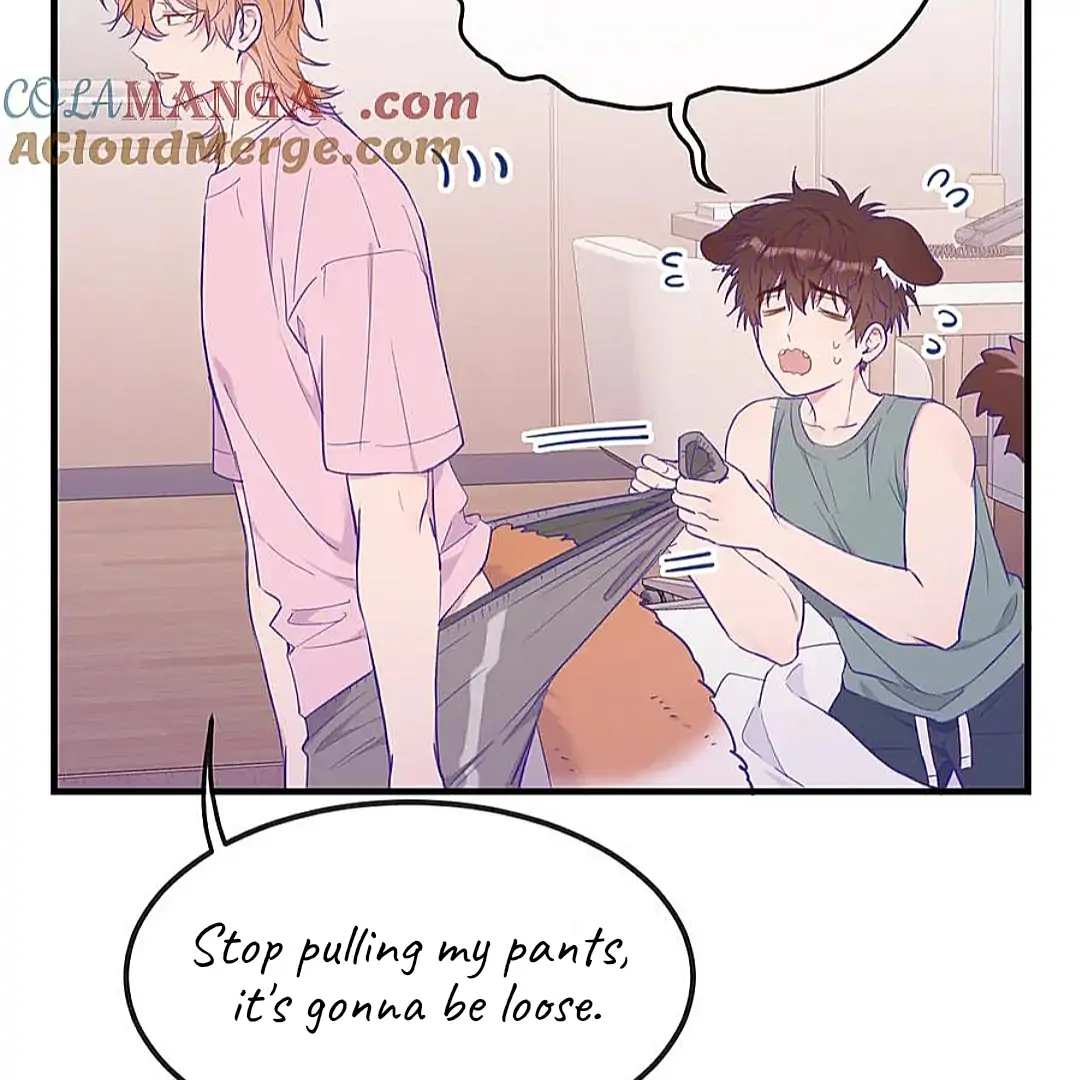 The puppy who lies will gets eaten - Chapter 18 manhwa