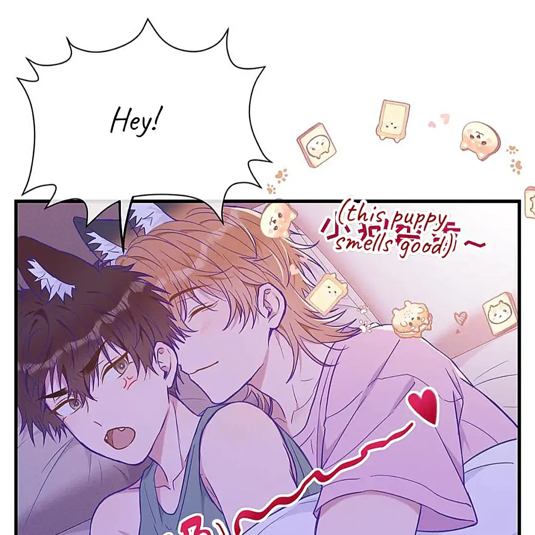 The puppy who lies will gets eaten - Chapter 18 manhwa