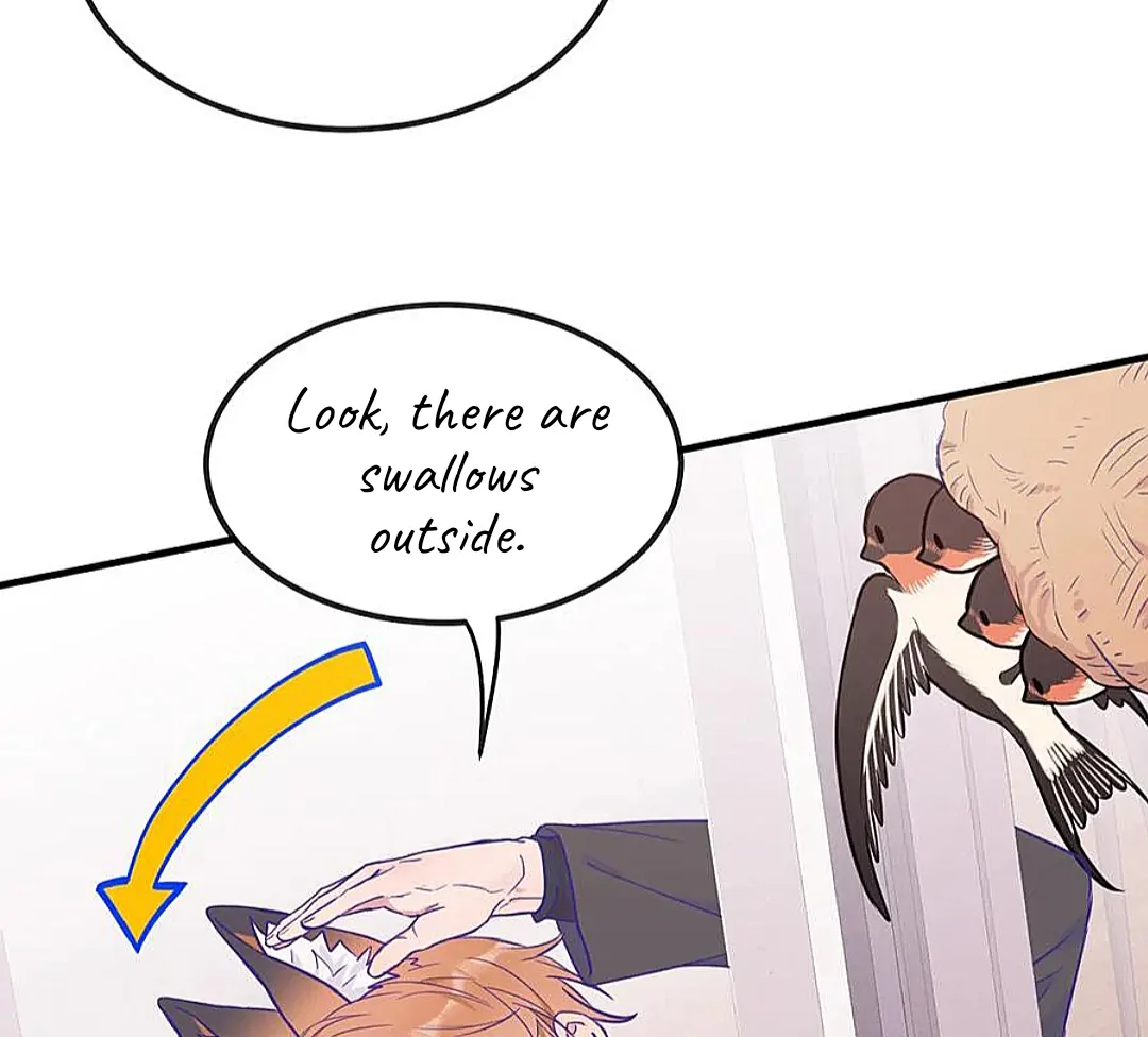 The puppy who lies will gets eaten - Chapter 19 manhwa