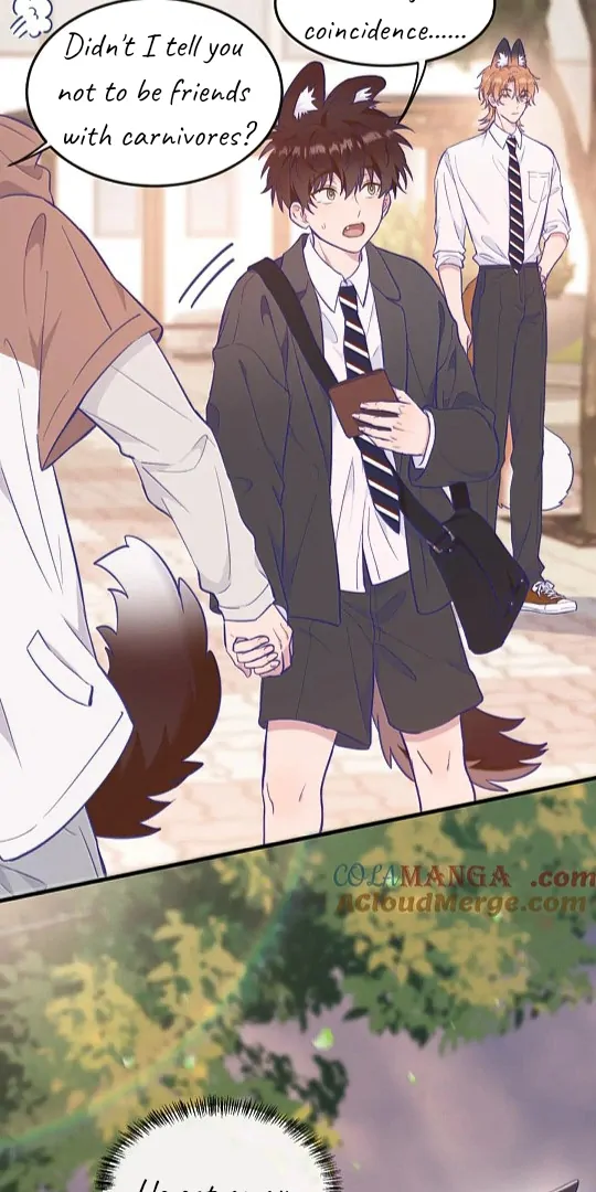 The puppy who lies will gets eaten - Chapter 2 manhwa