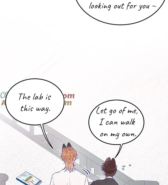 The puppy who lies will gets eaten - Chapter 2 manhwa