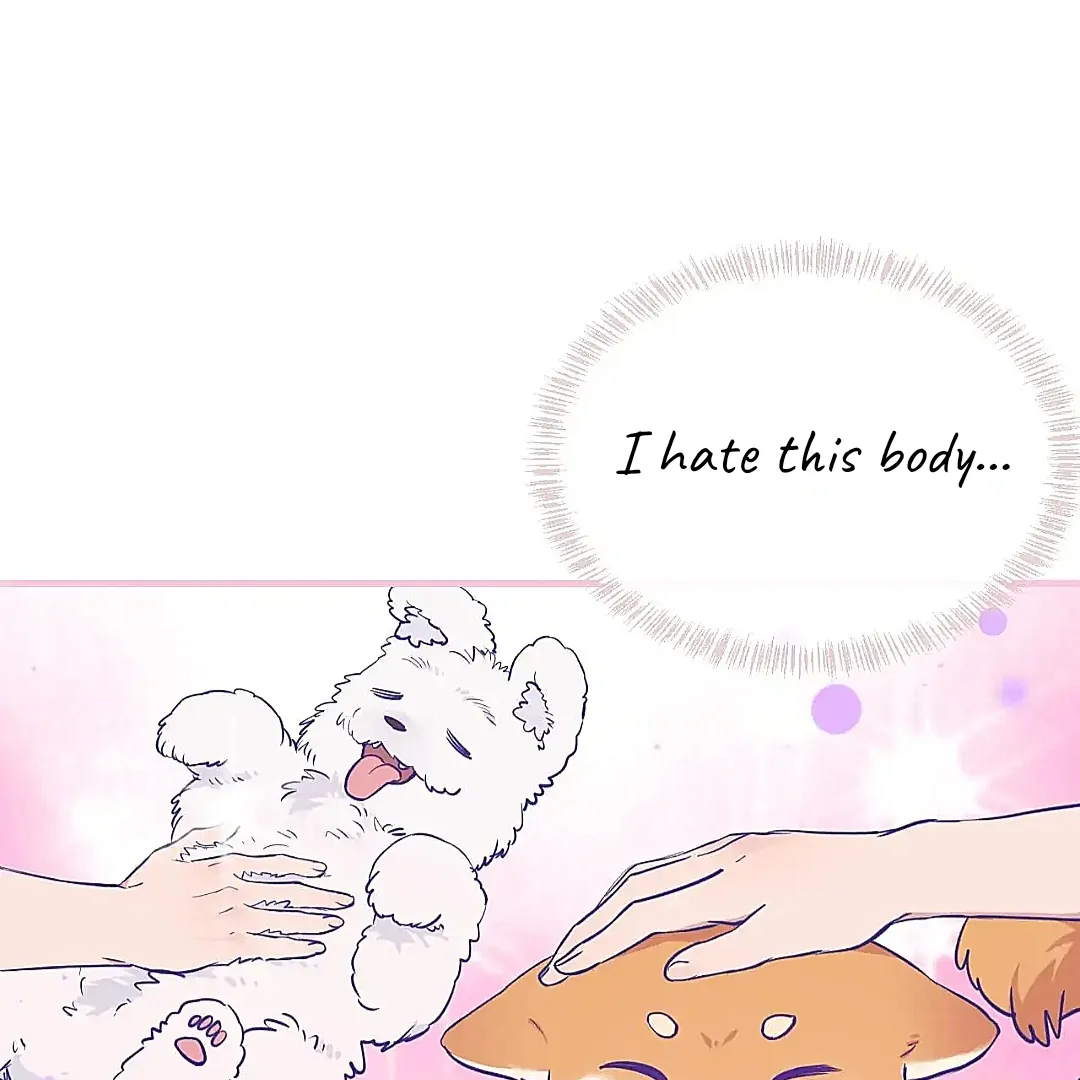 The puppy who lies will gets eaten - Chapter 27 manhwa