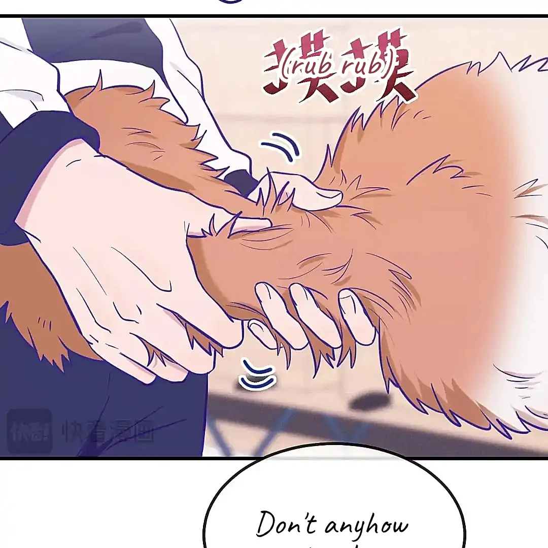 The puppy who lies will gets eaten - Chapter 27 manhwa