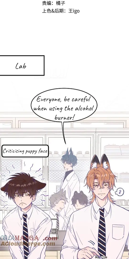 The puppy who lies will gets eaten - Chapter 3 manhwa