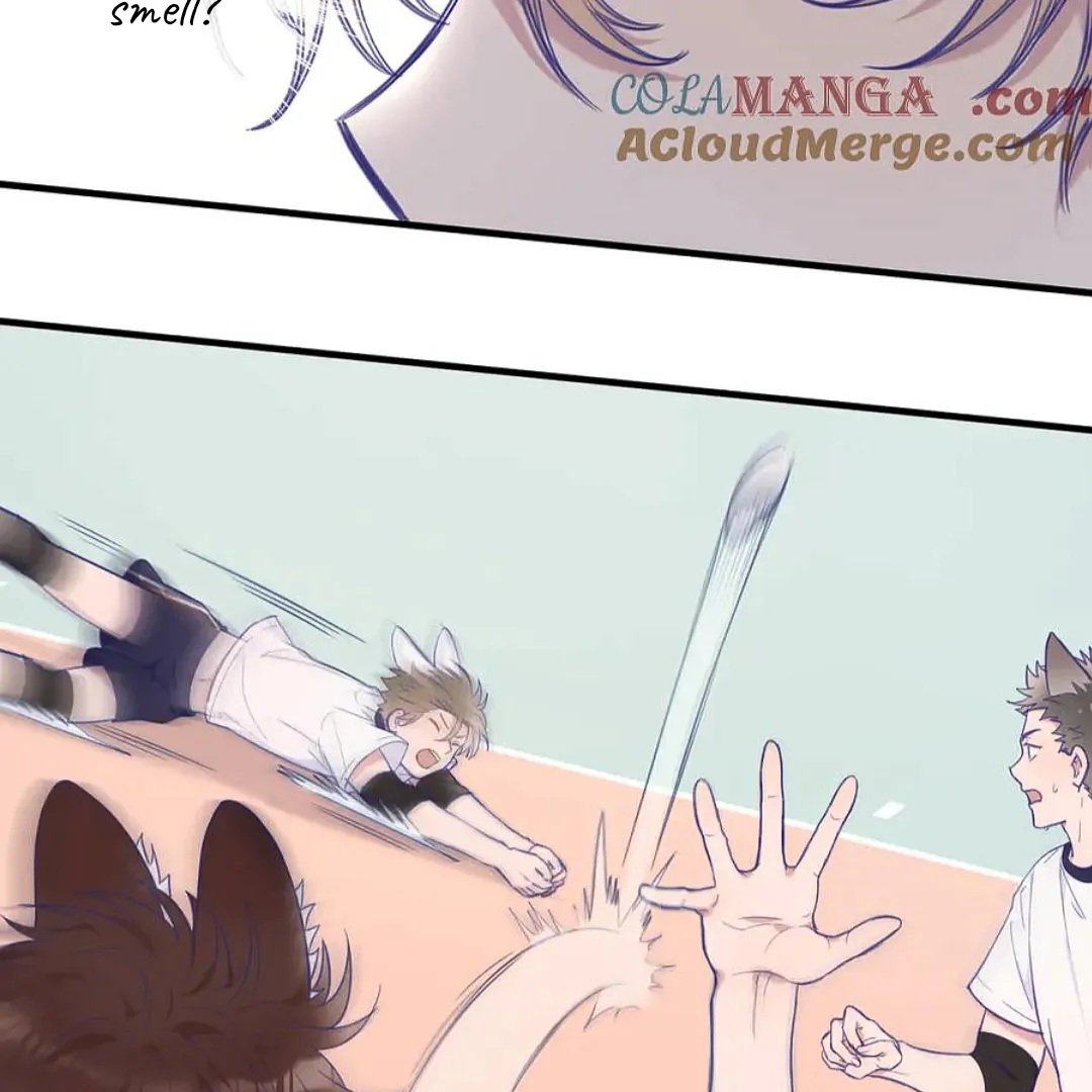 The puppy who lies will gets eaten - Chapter 3 manhwa