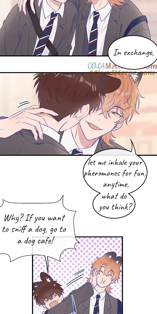 The puppy who lies will gets eaten - Chapter 4 manhwa