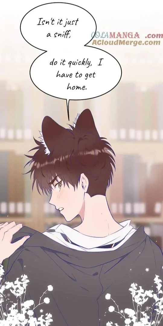 The puppy who lies will gets eaten - Chapter 5 manhwa