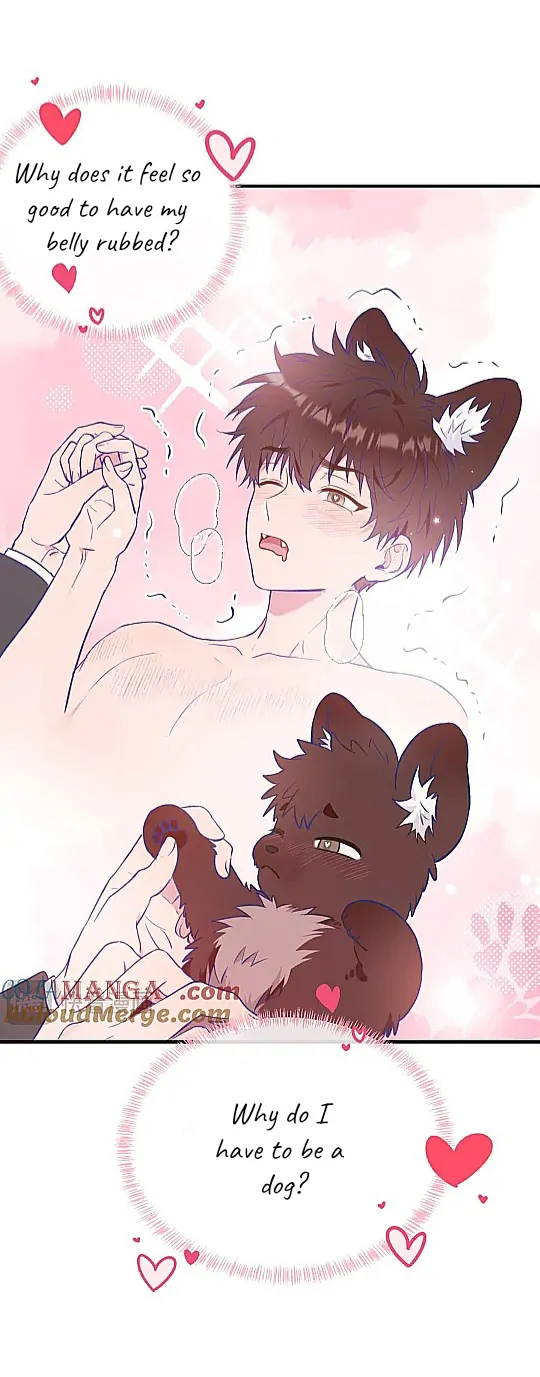 The puppy who lies will gets eaten - Chapter 6 manhwa