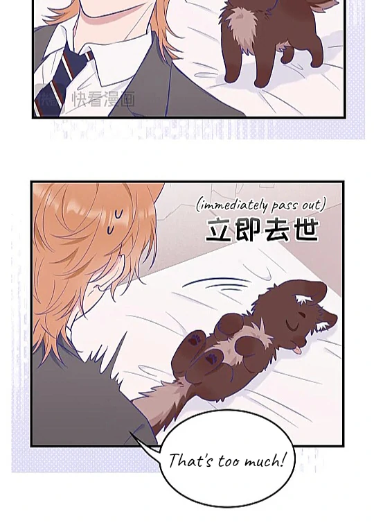 The puppy who lies will gets eaten - Chapter 6 manhwa