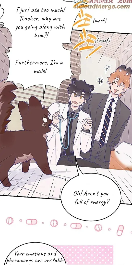 The puppy who lies will gets eaten - Chapter 6 manhwa
