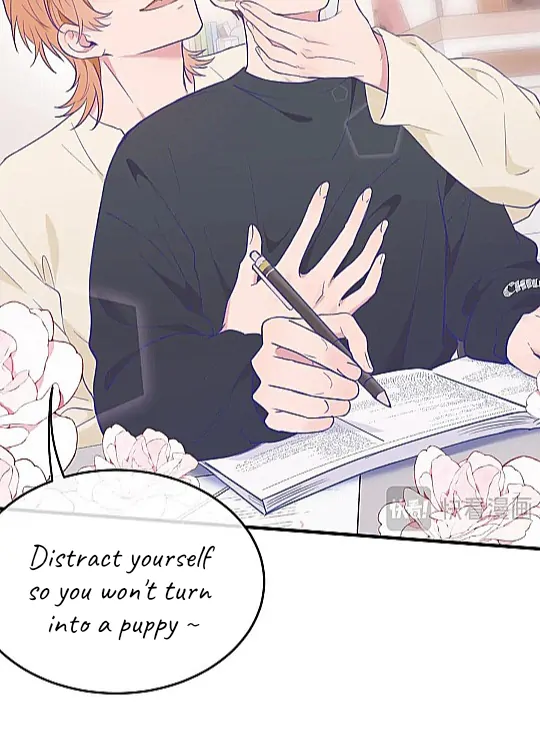The puppy who lies will gets eaten - Chapter 8 manhwa
