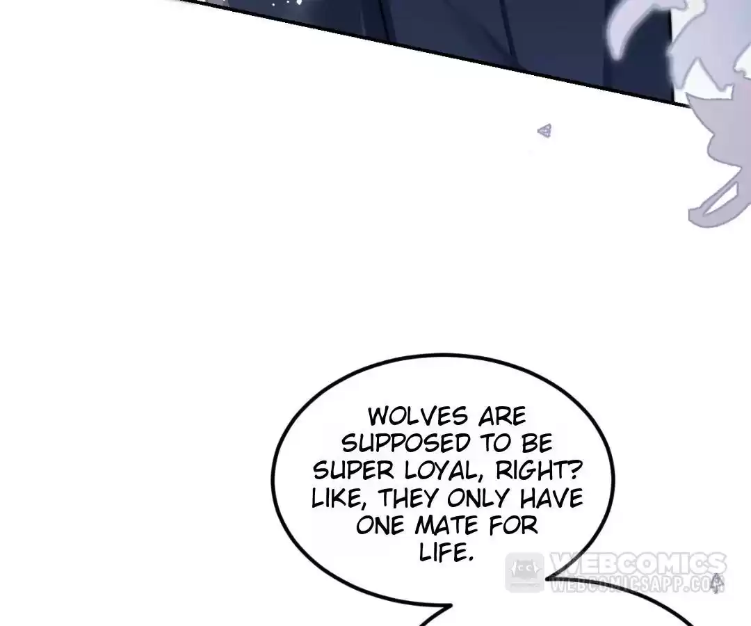 Toxic Adoration [Official] - Chapter 1 manhwa