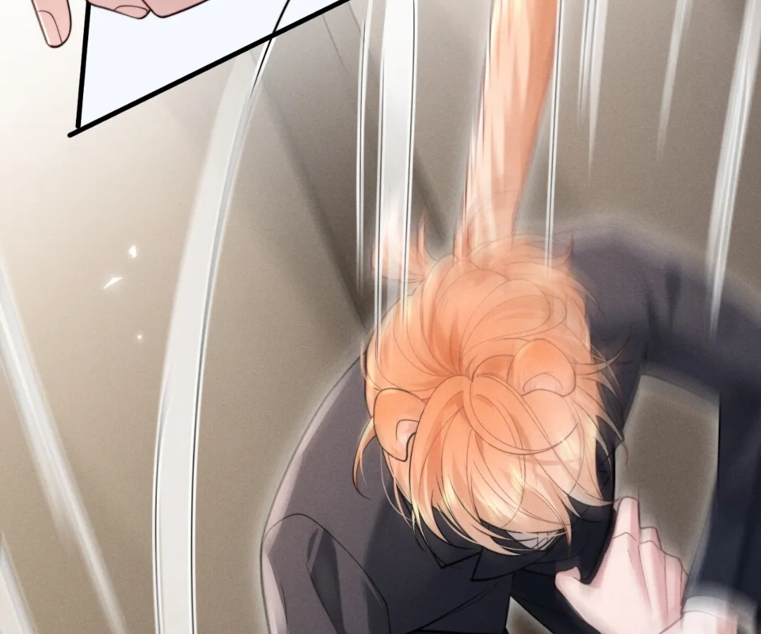 Toxic Adoration [Official] - Chapter 1 manhwa