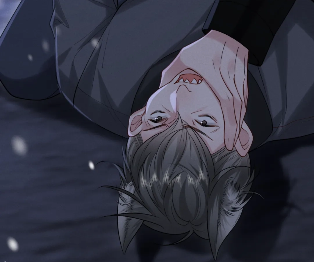 Toxic Adoration [Official] - Chapter 10 manhwa
