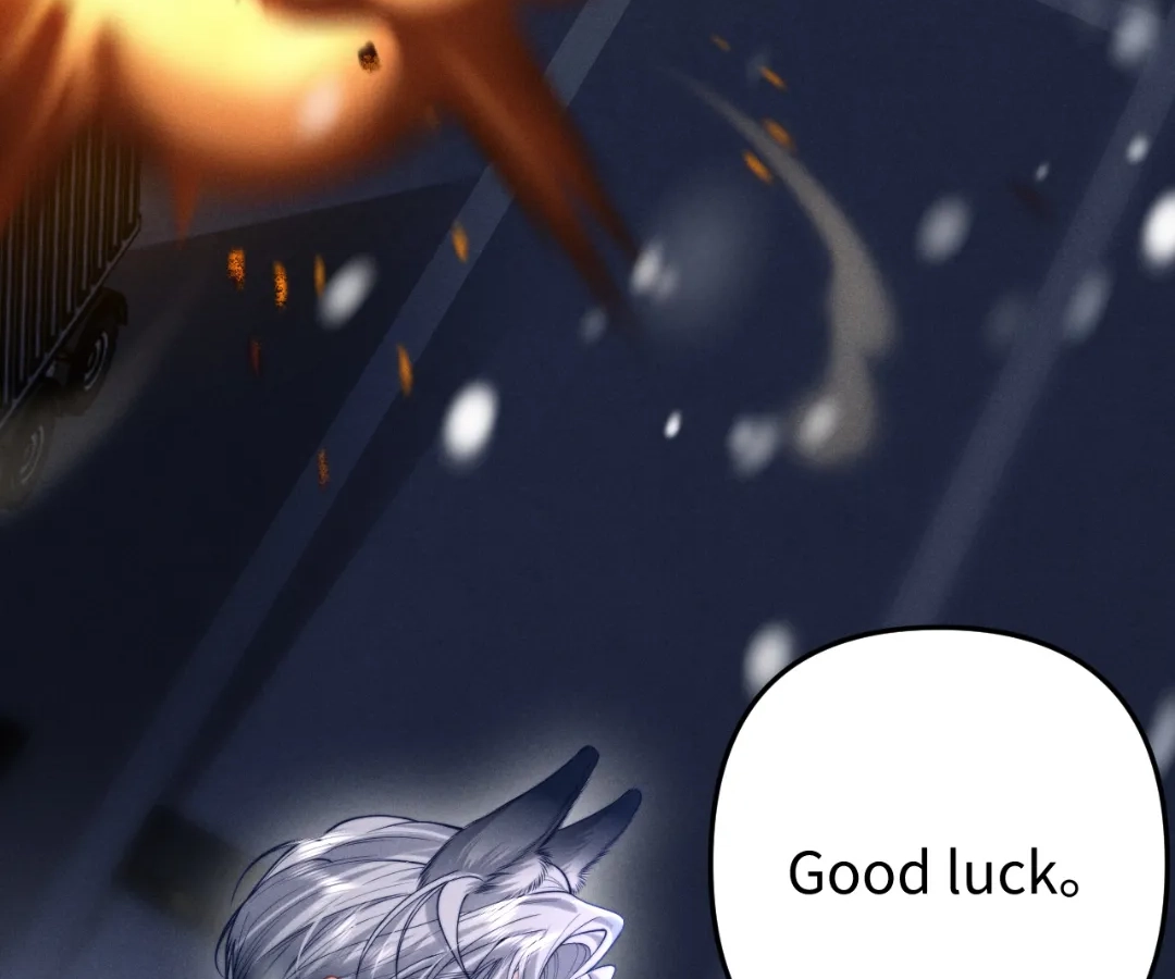 Toxic Adoration [Official] - Chapter 10 manhwa