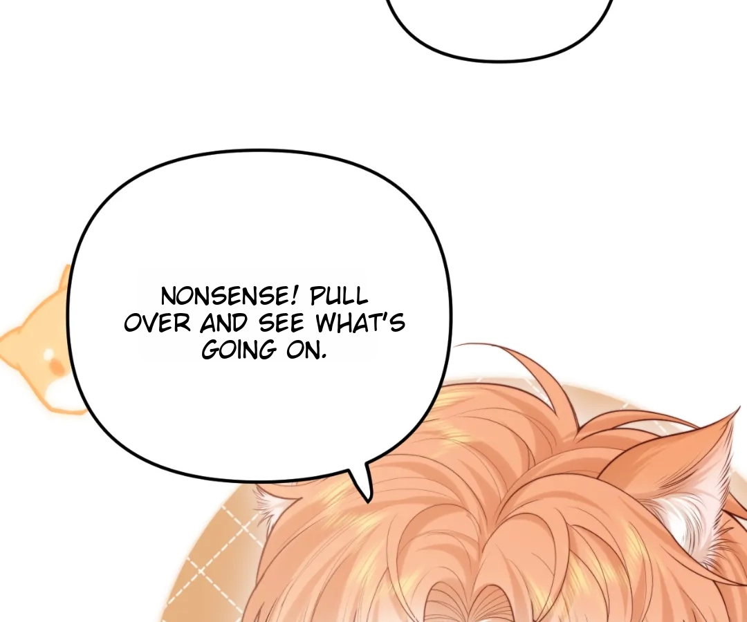 Toxic Adoration [Official] - Chapter 11 manhwa
