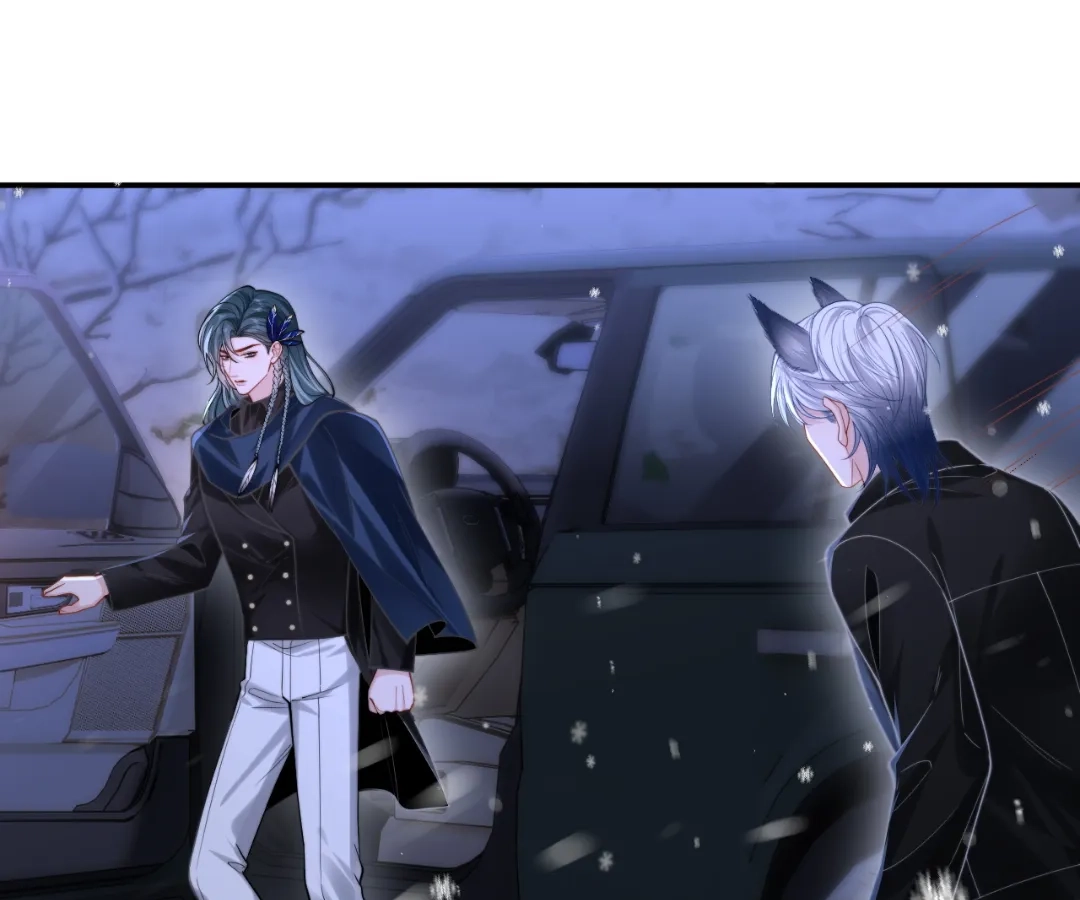 Toxic Adoration [Official] - Chapter 11 manhwa