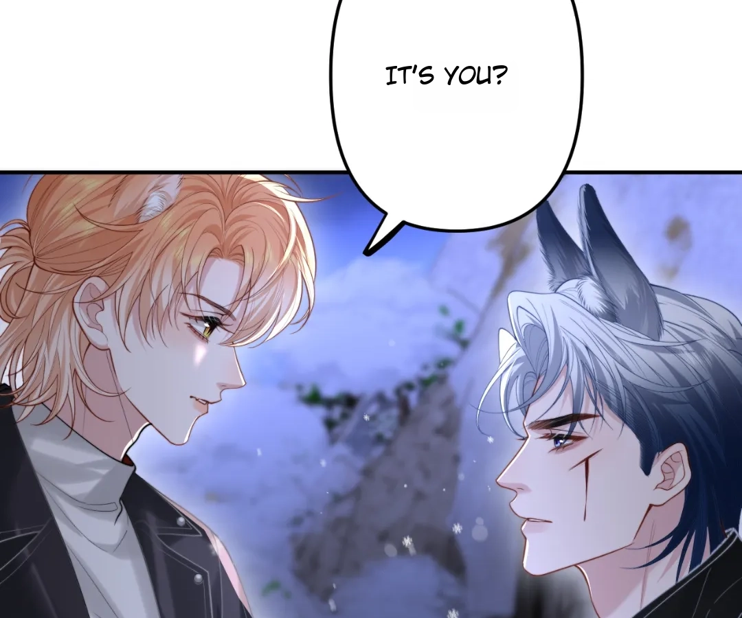 Toxic Adoration [Official] - Chapter 11 manhwa