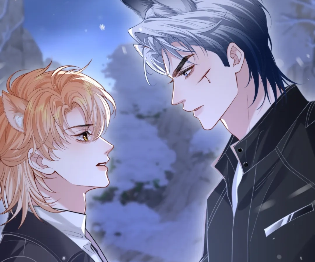 Toxic Adoration [Official] - Chapter 11 manhwa