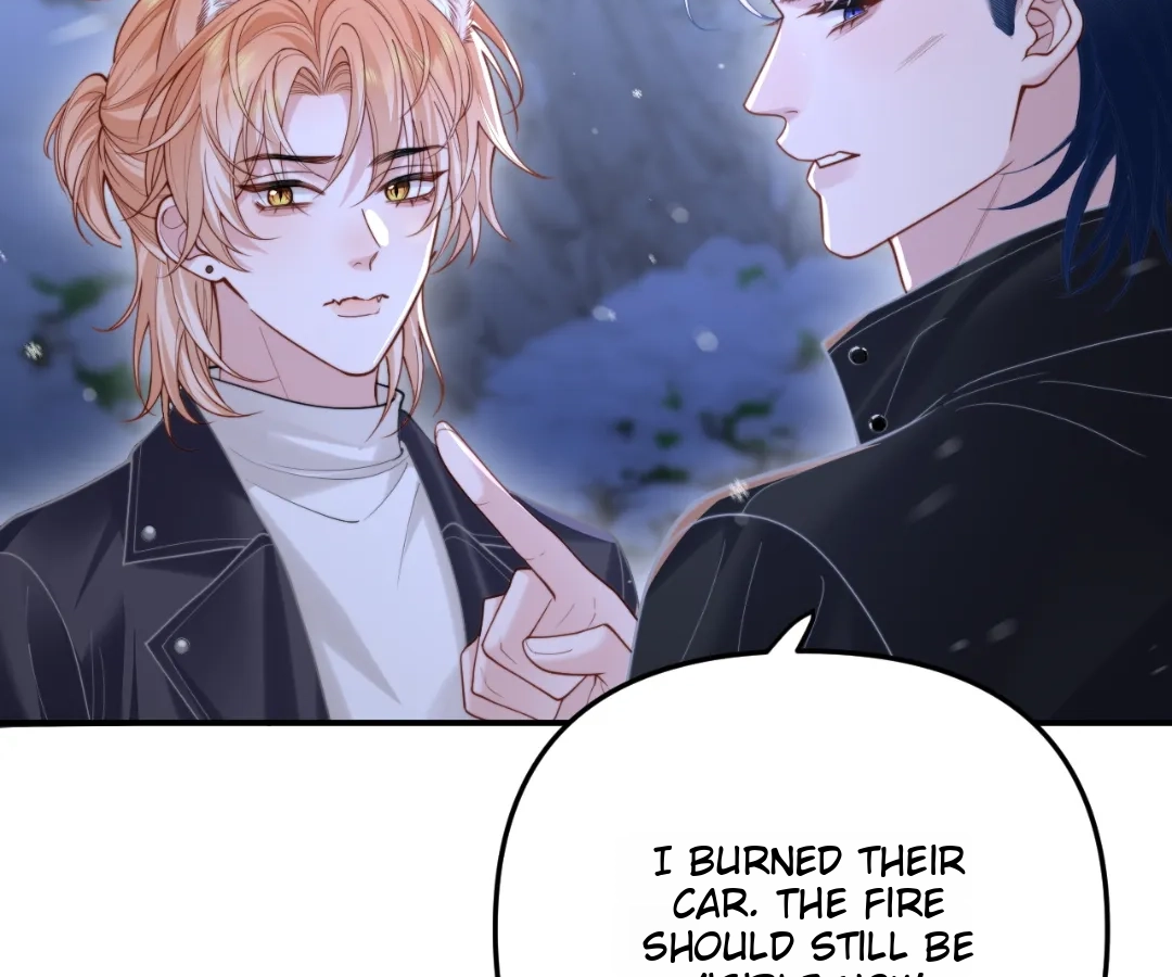 Toxic Adoration [Official] - Chapter 11 manhwa