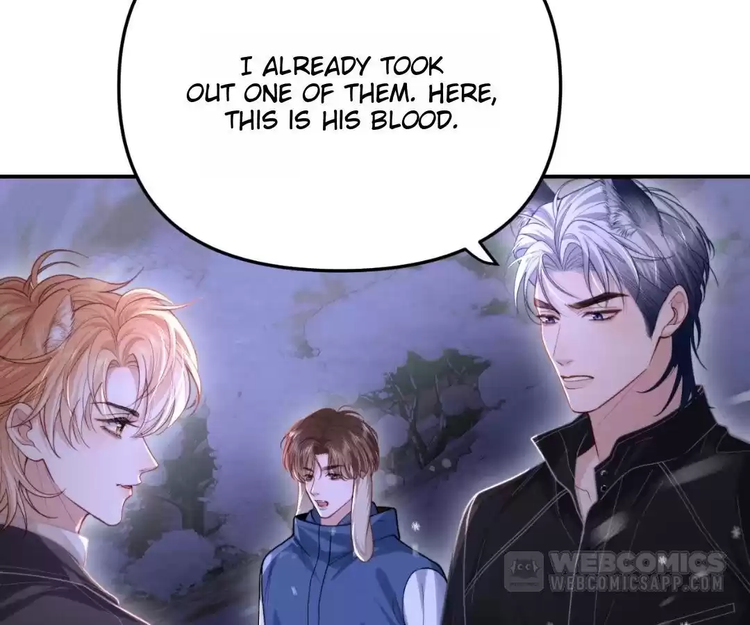 Toxic Adoration [Official] - Chapter 11 manhwa