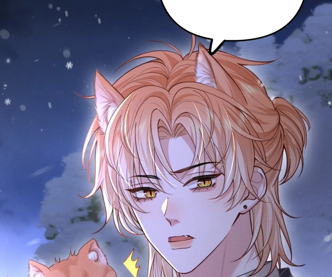 Toxic Adoration [Official] - Chapter 11 manhwa