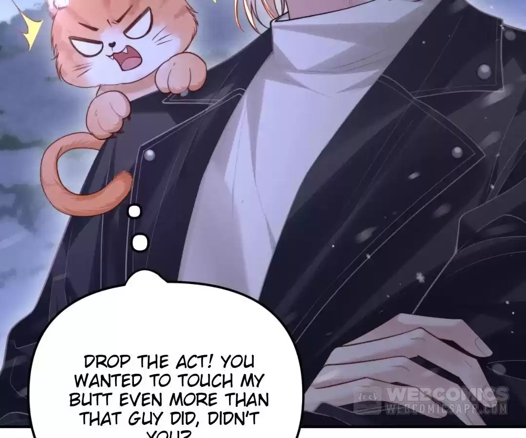 Toxic Adoration [Official] - Chapter 11 manhwa