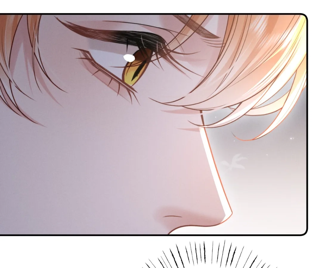 Toxic Adoration [Official] - Chapter 11 manhwa