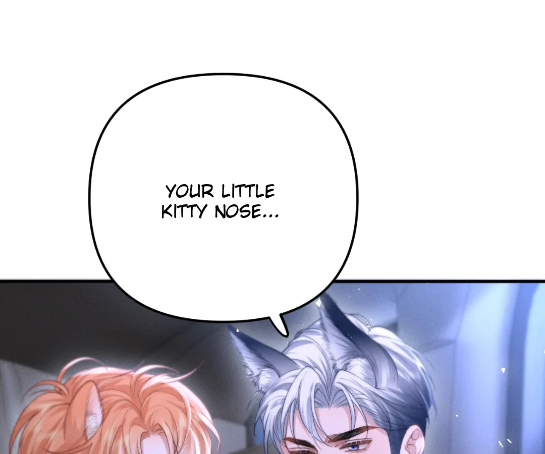 Toxic Adoration [Official] - Chapter 12 manhwa