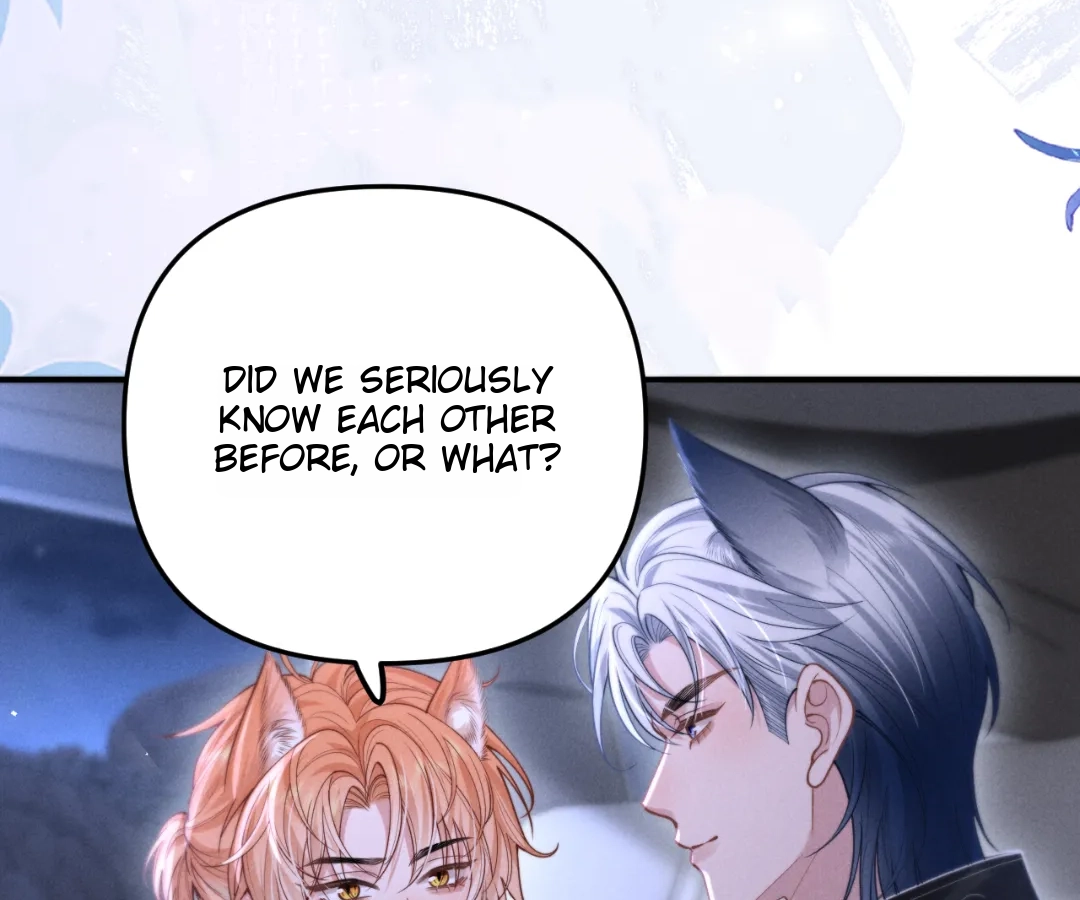 Toxic Adoration [Official] - Chapter 12 manhwa