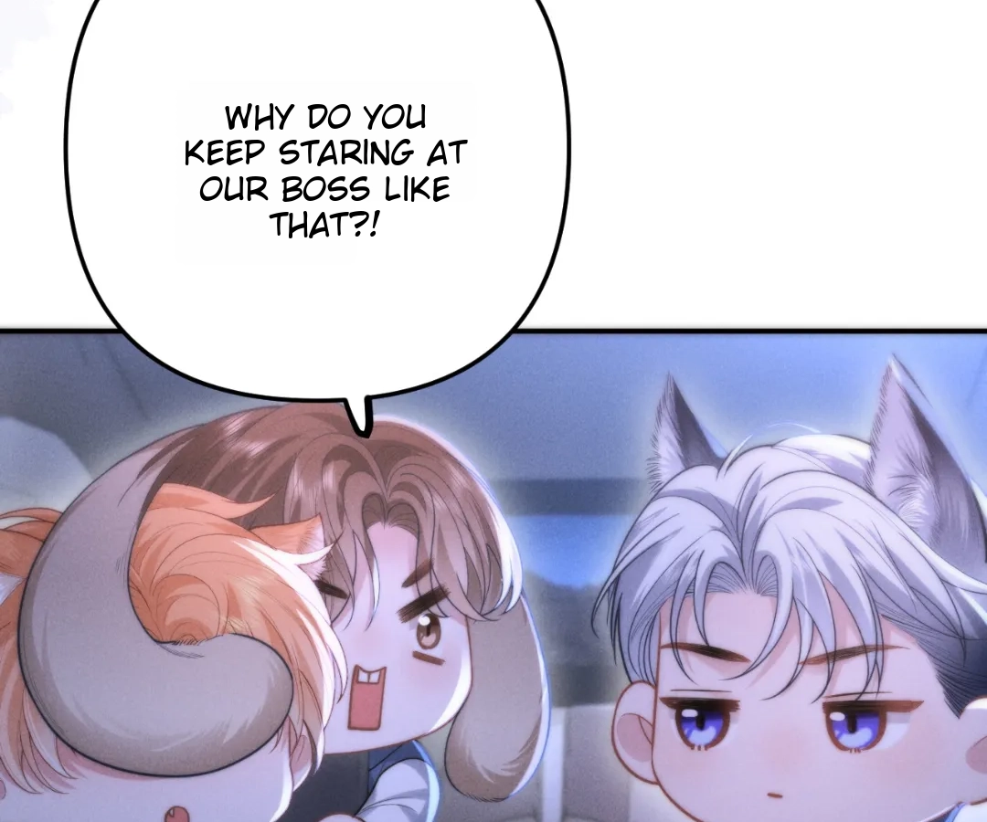 Toxic Adoration [Official] - Chapter 12 manhwa
