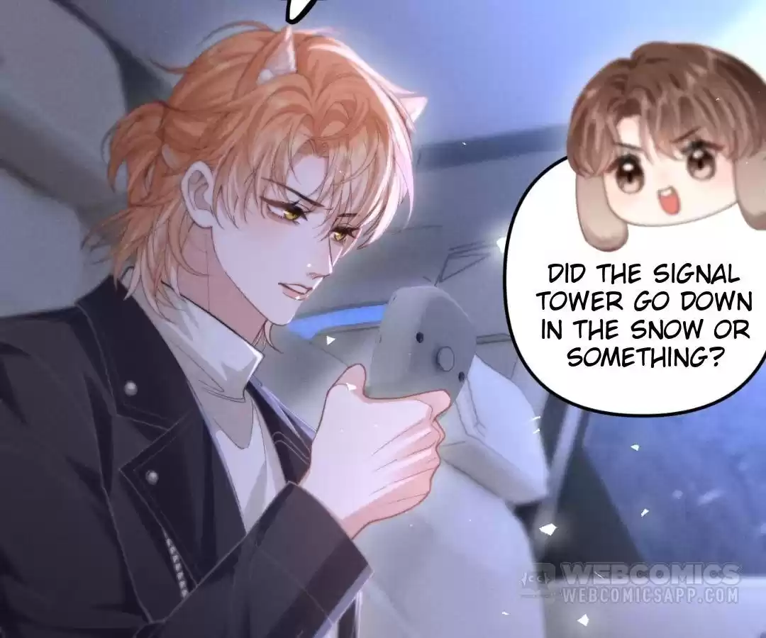 Toxic Adoration [Official] - Chapter 12 manhwa