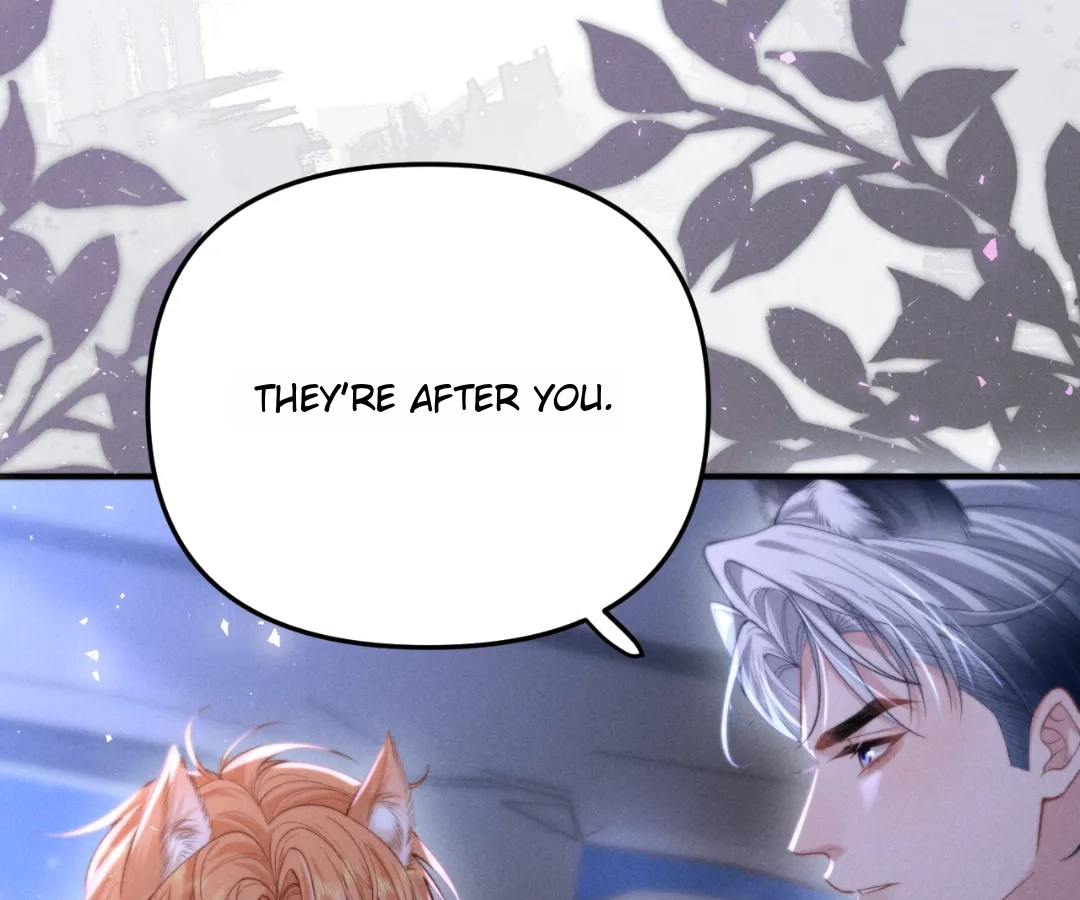 Toxic Adoration [Official] - Chapter 12 manhwa