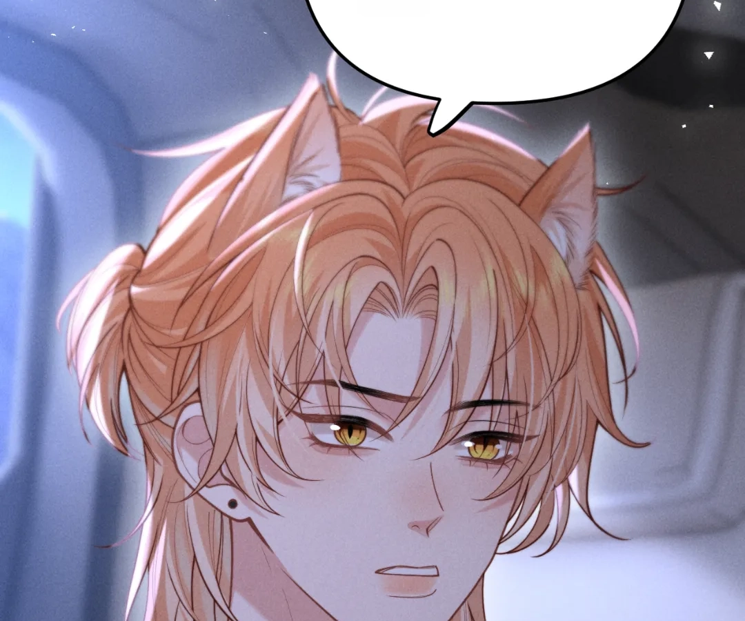 Toxic Adoration [Official] - Chapter 12 manhwa