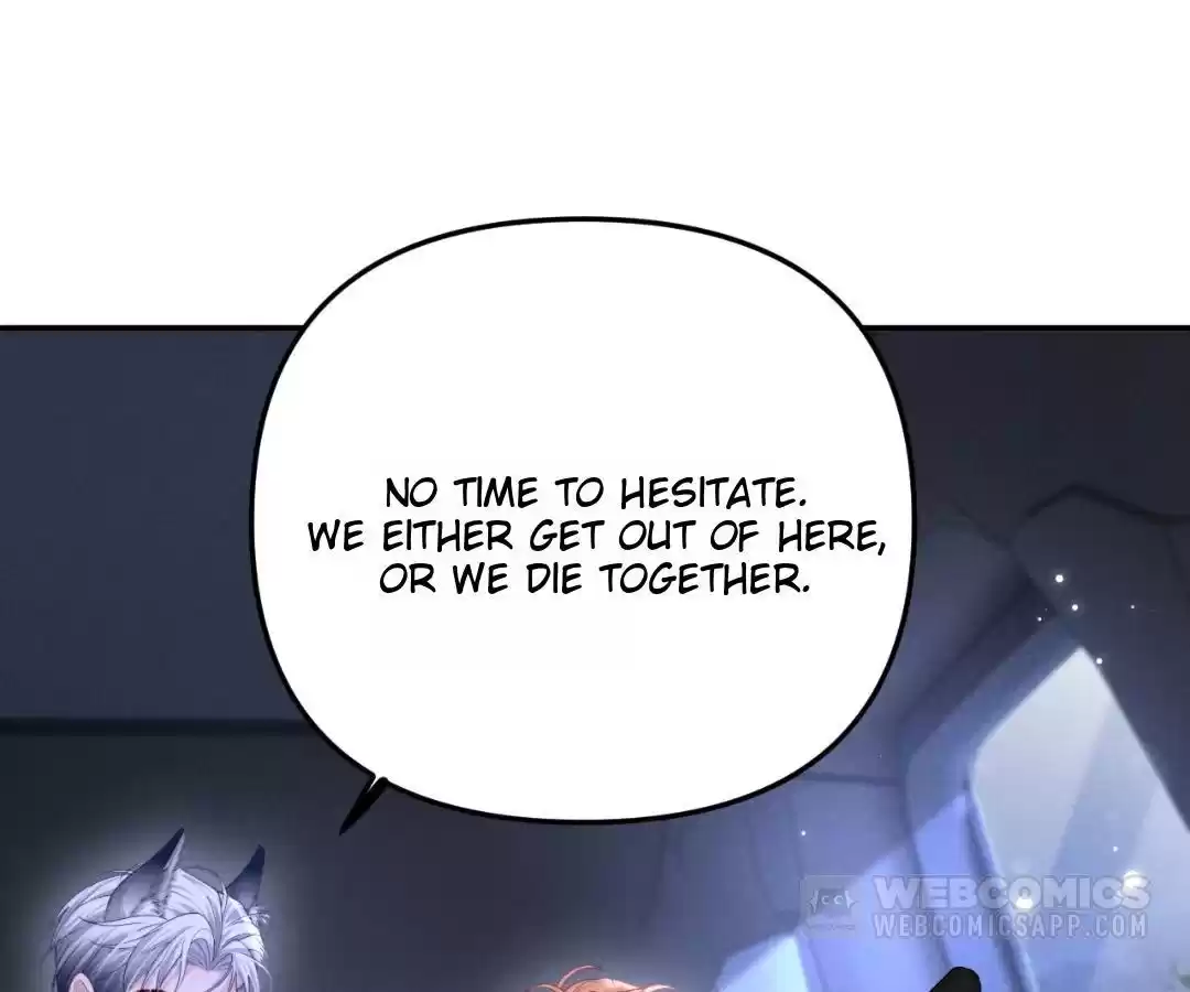 Toxic Adoration [Official] - Chapter 13 manhwa