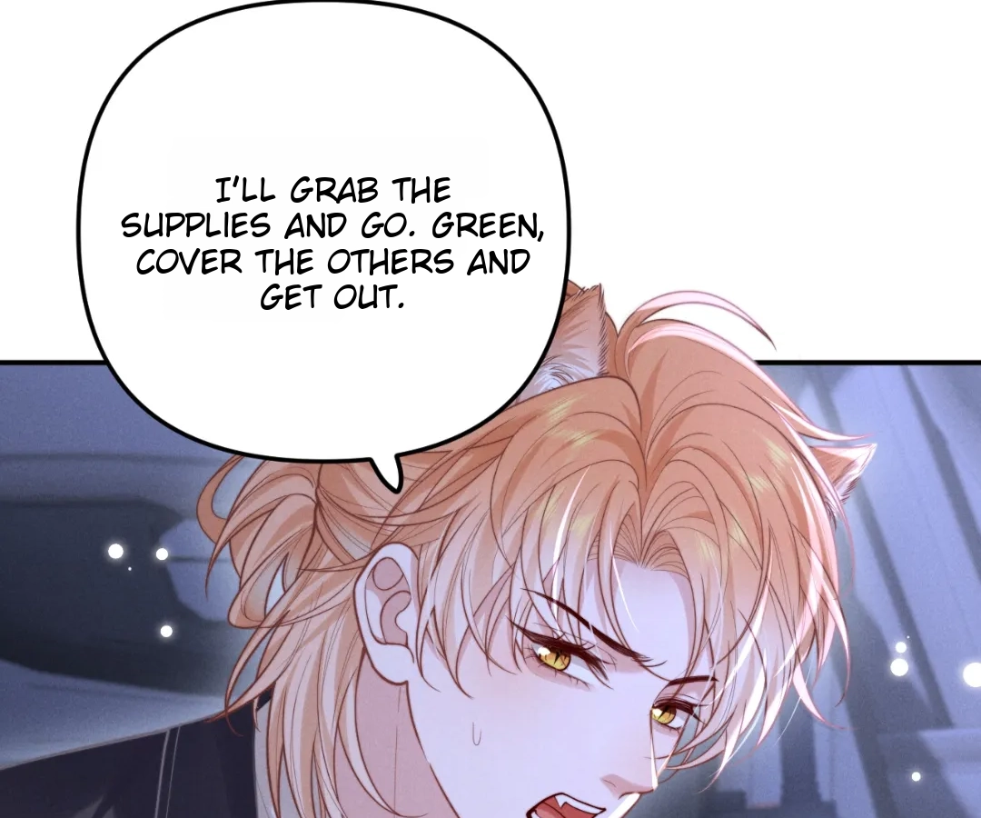 Toxic Adoration [Official] - Chapter 13 manhwa