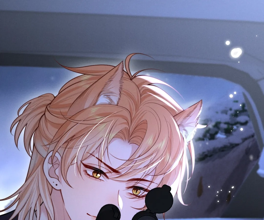 Toxic Adoration [Official] - Chapter 13 manhwa