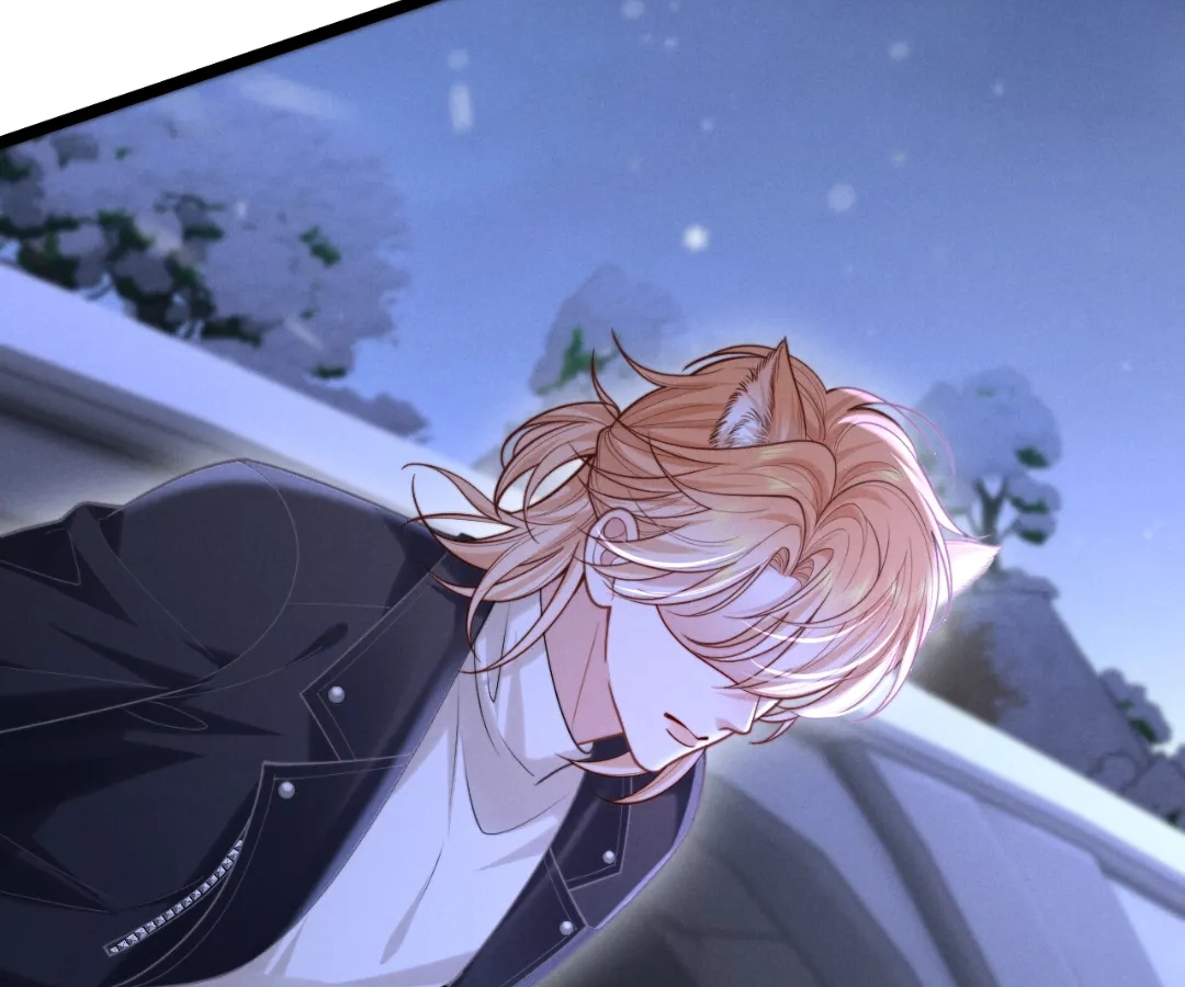 Toxic Adoration [Official] - Chapter 13 manhwa