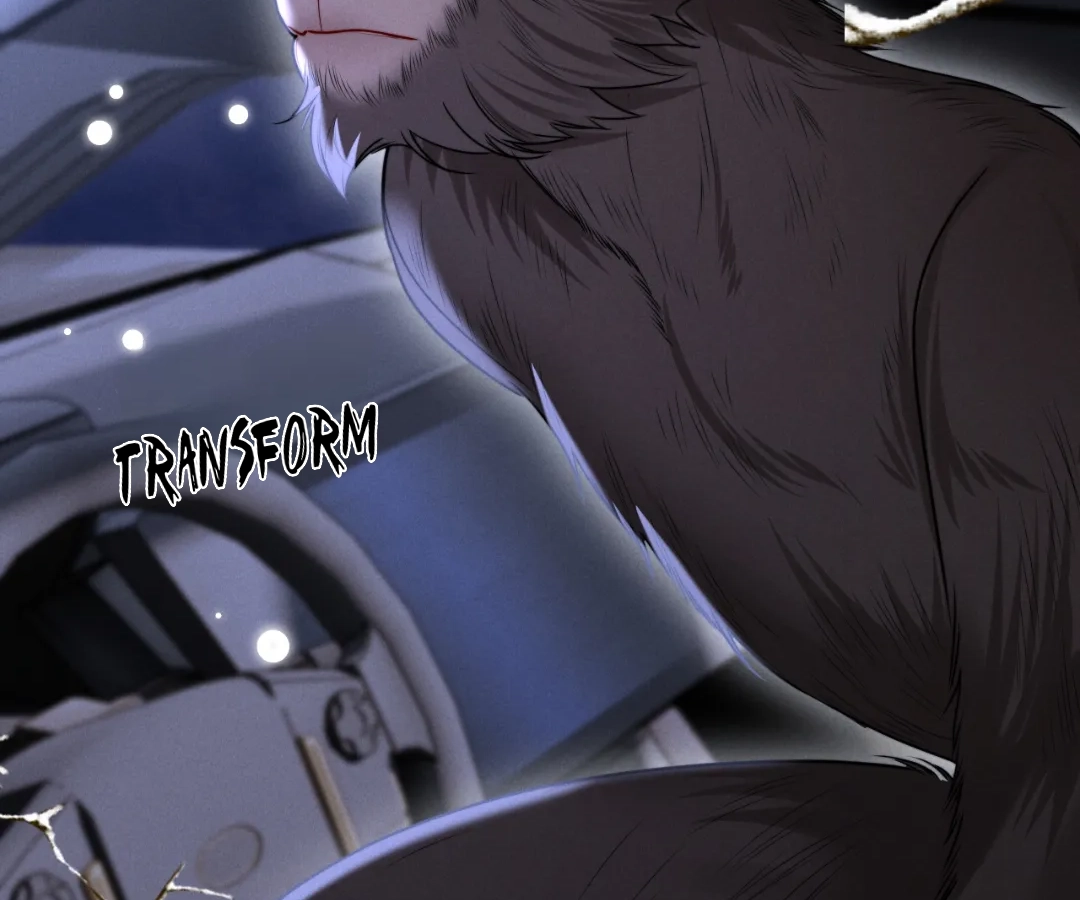Toxic Adoration [Official] - Chapter 13 manhwa