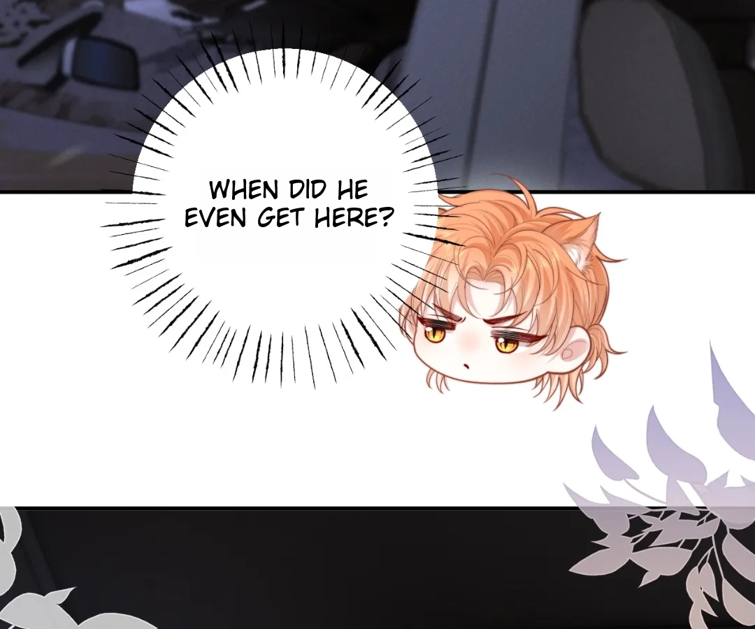 Toxic Adoration [Official] - Chapter 13 manhwa